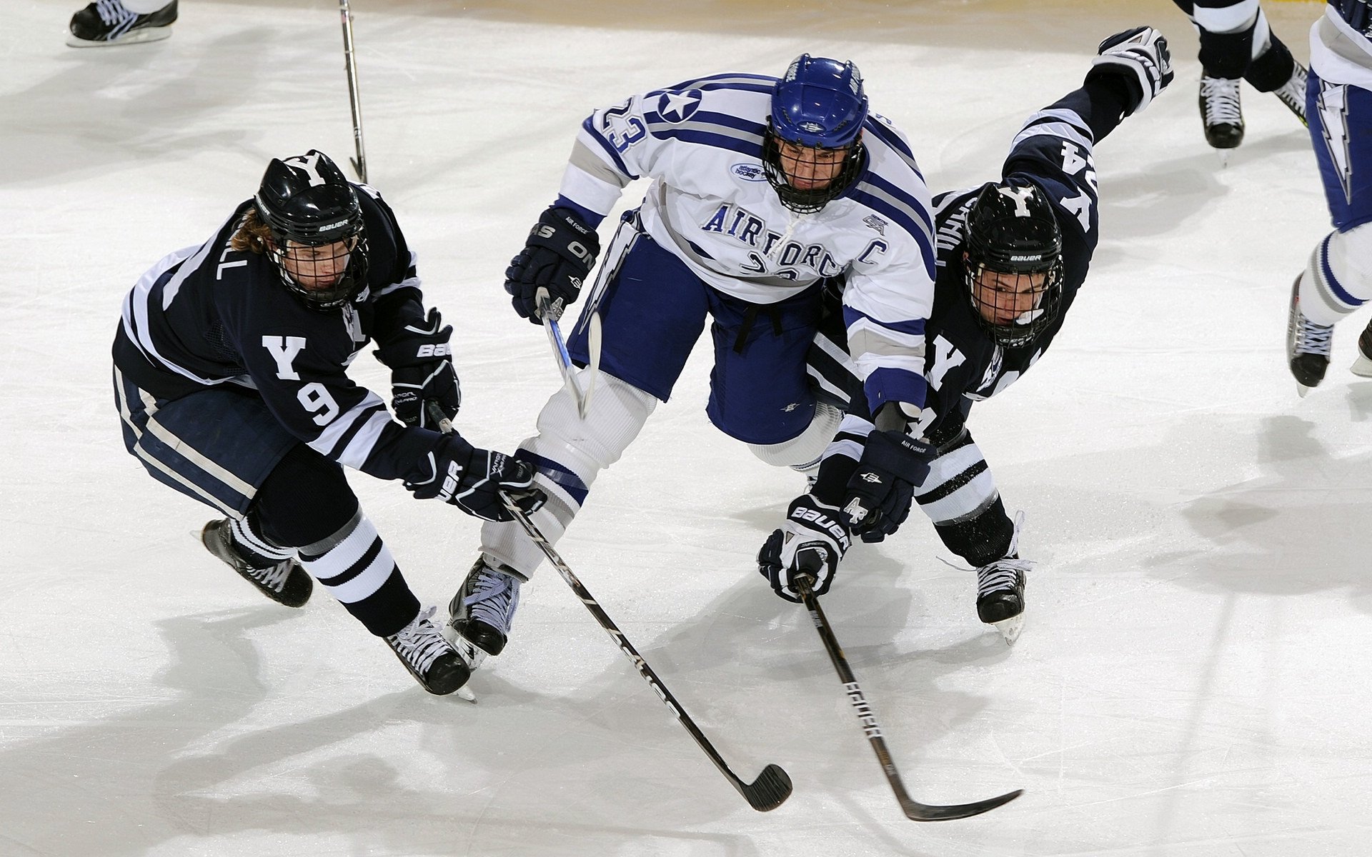 “马丁·高尔西:阿根廷美洲狮队的盯防专家”