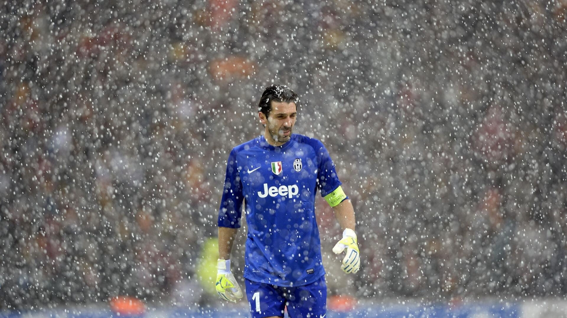 大卫·波波维奇100米自由泳技术细节解析,波波夫自由泳视频